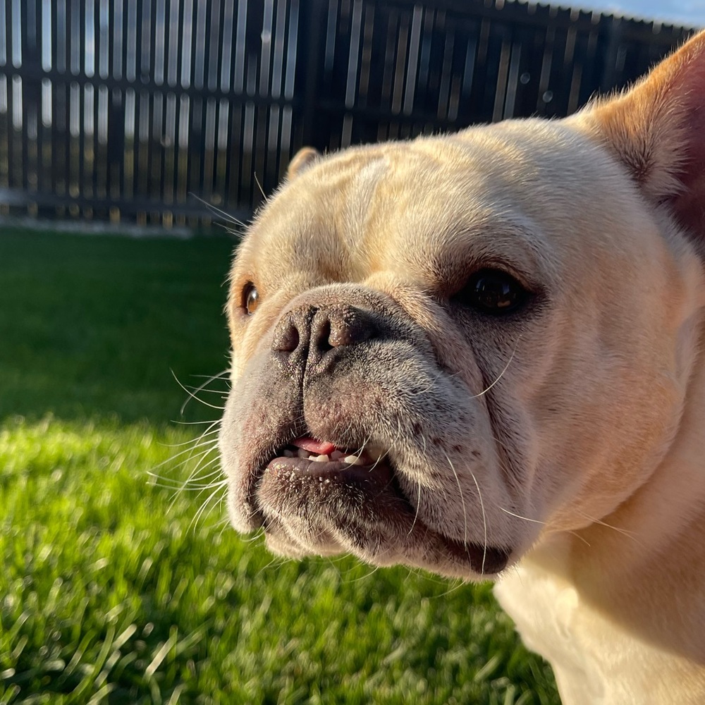 Meet your Posher, Katherine